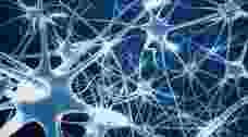 0415138cea644b978446738f7352975f.png