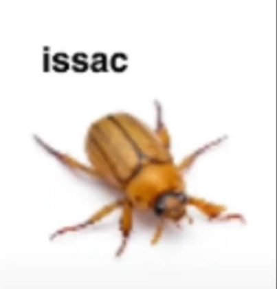 070321c13592408981f12800d217f022.png