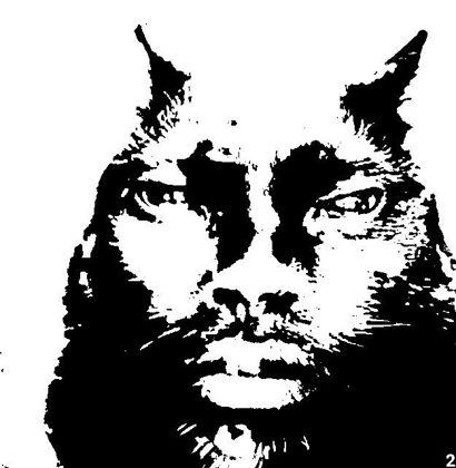 0ef7f74fd6b647ff997b0944bf9f3084.png