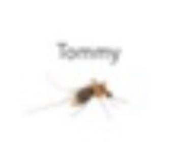 1e921065d5174aaea3b28e178d6d4b26.png