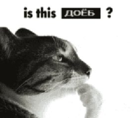 340c37b53b3a48f19ba9945434d8205b.png