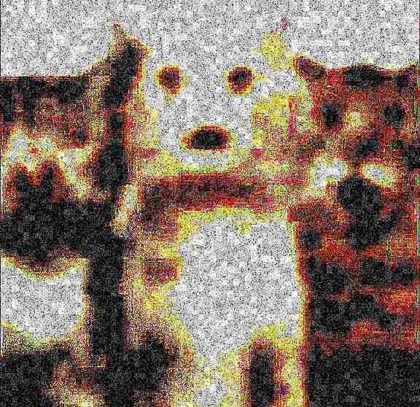 34cf4ce90bf34c289b0bc0b32547686c.png