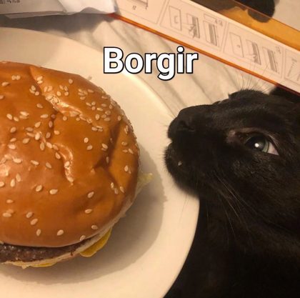 3c0476bf76924672b31ae032257b1977.png