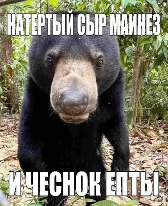 4ed0e1efb14e4bd993bc83695ea42573.png