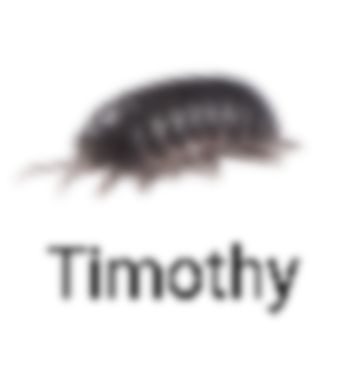6eb37467e1e64926bd69dc1e5fbbe082.png
