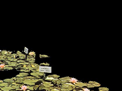 71998dbf2fef4b6b9949a77bf37d3207.png