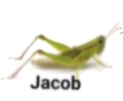 72b33f53fd094c389a1f859db469a329.png