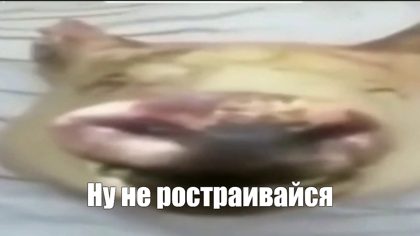 755b7db40a03412f9c7948a95fba53f9.png