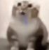 83d72e3192d9480fae5b35ad7d68e4a9.png