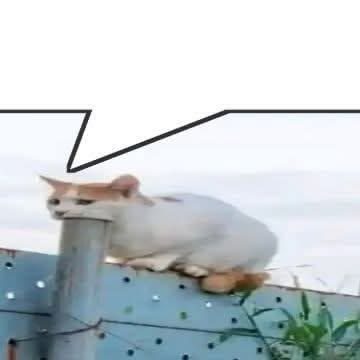 842bcca0ab4c4e9dadcdca8cd7284d9e.png
