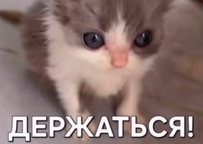 8528a859c92d460396d582d703e975f3.png