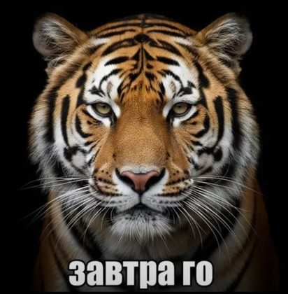 8bb28eb109db4b6e8d4868a3356b9a72.png
