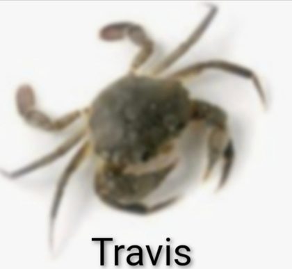 8c788b9b171145d39509f901c01627ab.png