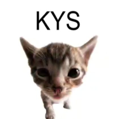 9c3844d56be341919746c892b03cf484.png
