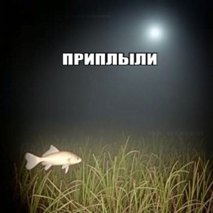 b03e30c623994b208cb7465afa9cae34.png