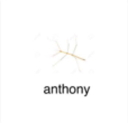 c05597aa439e450da55a00e64eb3dd3e.png