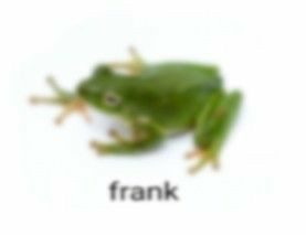 c5e2adfb8ad0488cbc19ef02b2c6c5b8.png