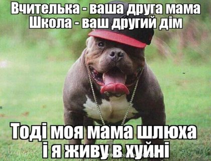 d0a49fff10934093bdc401fdc63600df.png