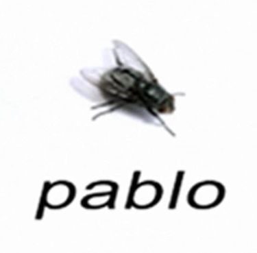 e060eb3d21874d349f5b3c2cbc461af2.png