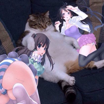 f407e24c012349c383b8e99e1c7b4816.png